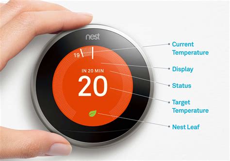 set up nest thermostat